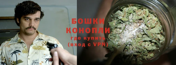 альфа пвп Гусиноозёрск