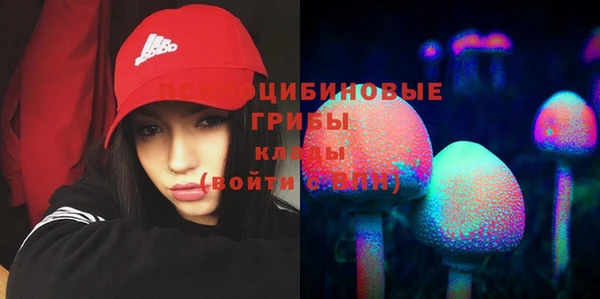 гидропоника Гусь-Хрустальный