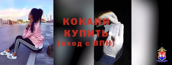 мет Гусев