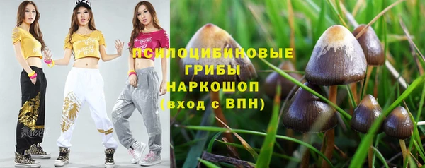 кокаин Дмитриев
